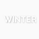 3D WINTER (stilfuldt julepynt)