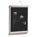 Plakat - Pan - Tulipantrio