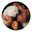 Tableau sur alu-Dibond rond FiguraNYC Photographie - Renoncule