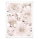 Plakat - 1X Studio - Apricot Aster