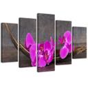 5 stykke lærredsprint Orchid Flower Zen Spa
