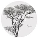 Vinilo decorativo Árbol minimalista en un paisaje tranquilo - Harina - Redondo