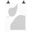 Poster Sawall - Greyish