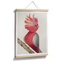 Póster Marrón - Cacatúa rosa
