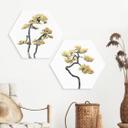 Hexagon Dibond Bonsai i balance - Amini