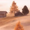 Niebla otoñal en los Alpes | fotomural de paisajes - Selagea