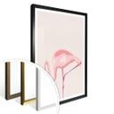 Póster Flamingo 02
