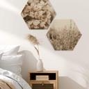 Hexagone - Bois Annie - Herbes