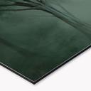 Keukenachterwand bosmagie in ochtendmist groen - Ms Tiff