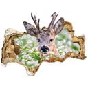 3D Wallsticker van Duijn - Dådyr om foråret