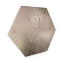 Sekskantet Billede af træ græsstrå med dugdråber - Sillen