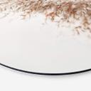 Alu-Dibond Pampas grass - tondo
