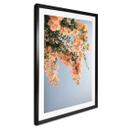 Póster Flores de melocotón en Assos - Fotografía de Clint