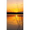 Fotomural de Puesta de sol junto al lago
