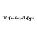 Decoración acrílica Letras 3D All of me loves all of you