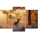 3 stykke lærredsprint, Deer Forest Sunrise Nature