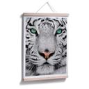 Plakat - Sumatratiger