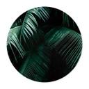 Plakat Tropical Botanics