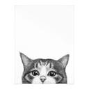 Póster Gato curioso - Korenkova