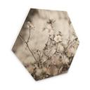 Hexagone - Bois Annie - Fleurs sauvages
