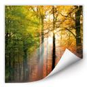 Poster autocollant - W - Un Jour d'Automne