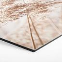 Hexagon Dibond Windy Grass