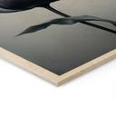 Cuadro de madera tulipán aterciopelado en negro - Paksoylu