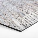 Sekskantet billede af birkeskov om vinteren - EMELIEmaria - aluminium dibond