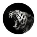 Plakat Meermann - Tiger