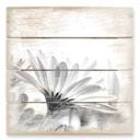 Cuadro de madera margarita en detalle - 40x41,5 cm