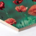 Hexagone -Placage bois de bouleau Delgado - Coquelicots aigues-marines 