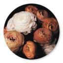 Tableau sur verre FiguraNYC Photographie - Renoncule