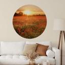 Vinilo decorativo Campo de amapolas al atardecer - Redondo