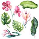 Kvilis Wallsticker - Tropiske planter