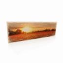 Houten Bordje Klaprozen bij Zonsondergang
