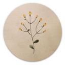 Cuadro de madera Planta delicada con flores amarillas - Goed Blauw - Redondo