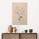 Cuadro de madera Planta delicada con flores amarillas - Goed Blauw
