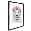 Plakat - Solti - Festival Lion