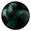 Plakat Tropical Botanics