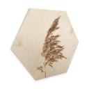 Hexagon Hout Siergras No. 2