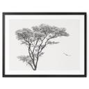 Póster Árbol minimalista en un paisaje tranquilo - Flour