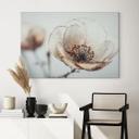 Lienzo flores secas beige naturaleza poesia - Treechild