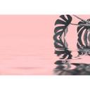 Livingwalls papier peint photo ARTist Monstera Leaf Water rose