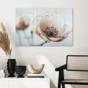 Glasbillede - Dry Blossom Beige Nature Poetry - Treechild