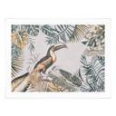 Póster Bosque tropical con tucán - Haase