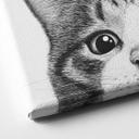 Canvasbillede Nysgerrig kat - Korenkova
