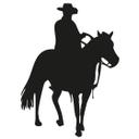 Cowboy 3