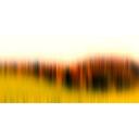 Architects Paper Papier peint photo Atelier 47 Diffused Tree Row 