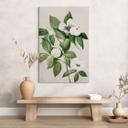 Lienzo ilustración botánica de una camelia simulada - Walcott