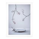 Póster Karpova - Spa y Zakura - Naturaleza muerta floral de primavera